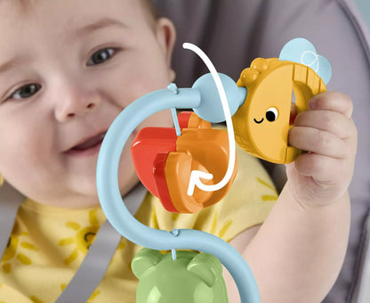 FISHER-PRICE sensorinis žaislas (JHB46)