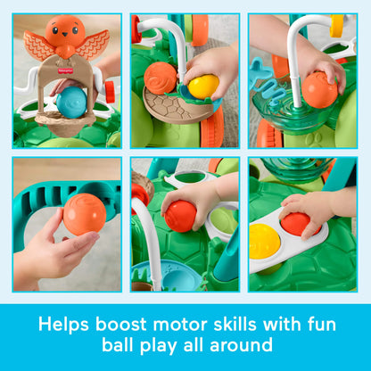 FISHER-PRICE vėžliuko vaikštynė (JKD63)