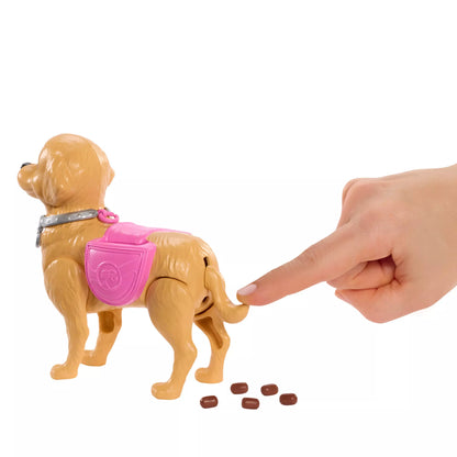 BARBIE WALK AND POTTY lėlės rinkinys (JJB46)